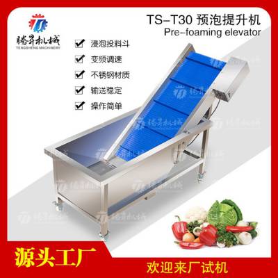 电动蔬菜水果提升机物料传输机器食品加工设备TS-T30