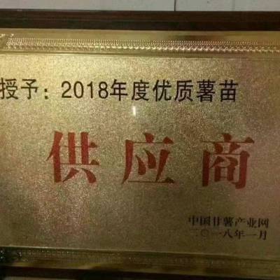 2024年脱毒红薯苗大量出售中中-品种齐全-价格优惠-质量好