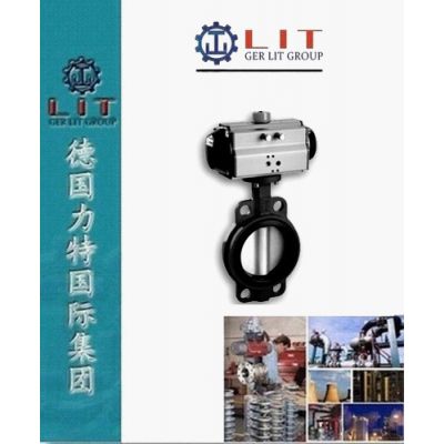 Լʽڵص ¹LITƷ
