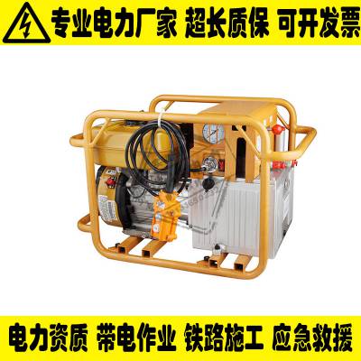 汽油机液压泵HPE-1D***压液压泵高压汽油泵站日本izumi