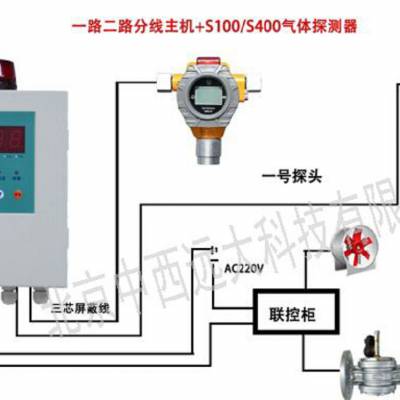 硫化氢检测报警仪（器材）双探头M408190