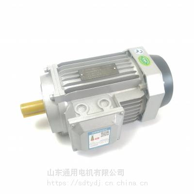 ǵٻ 1.5KW  YE3-90L-4ʽB5 B14