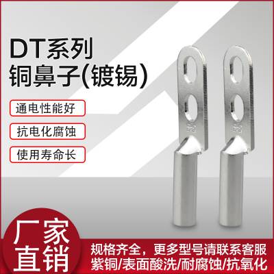 DT2-95-8双孔铜接线端子管式镀锡铜接头线鼻子