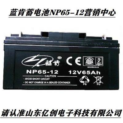 蓝肯蓄电池NP65-12 12V6***H铅酸储能型产品 营销中心