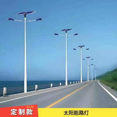 诸暨市太阳能路灯厂 户外防水庭院式造型LED灯 3米6米按需定制