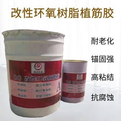 DG—501环氧树脂植筋胶　高粘接耐老化钢筋锚固加固胶胶