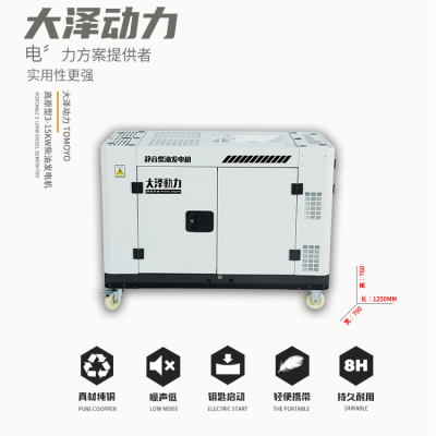 大泽动力12KW等功率发电机 TO16000ET