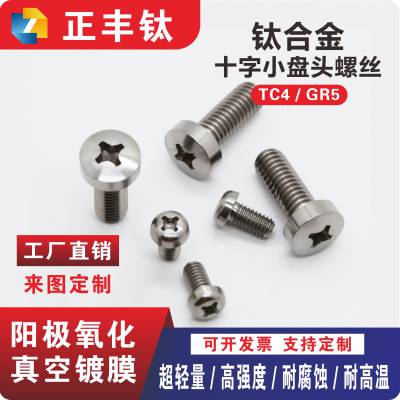 钛合金螺丝 十字圆头螺丝钉 盘头螺栓 开关插座螺钉 M2M3M4M5M6M8M10