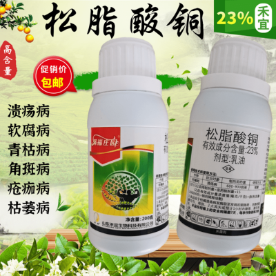 柑橘褐腐病用什么药最好用(柑橘疫菌褐腐病用什么农药防治)