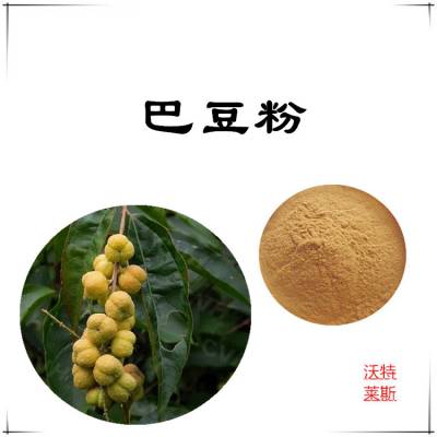 巴豆提取物10:1比例提取，巴豆粉，巴豆速溶粉，巴豆提取液，巴豆浸膏，1公斤起订，包邮