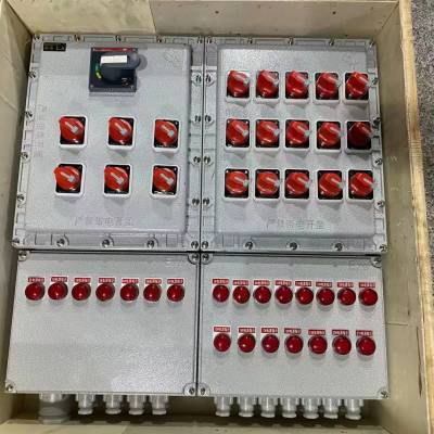 多回路照明动力配电箱防爆防腐配电箱 防爆配电箱 防爆仪表控制箱