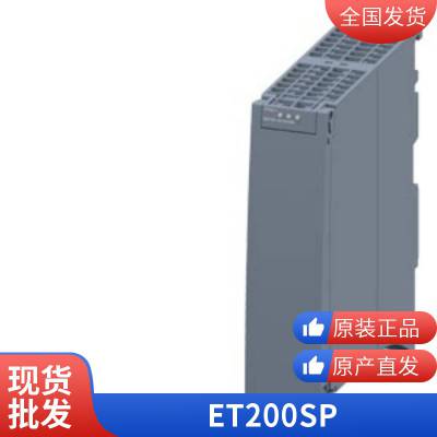 6DL1193-6TP00-0DH1 200SP 6DL11936TP000DH1