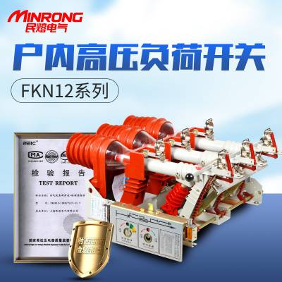 ɿ ոɿ  FKN12-12RD/630ϵ ڸѹɿ Դͷ