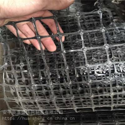 方孔塑料网带 塑料网供货 平网育雏笼尺寸淮盛
