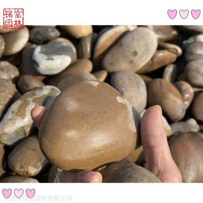 建筑工程石子 造景用石鹅卵石 大小鹅卵石批发