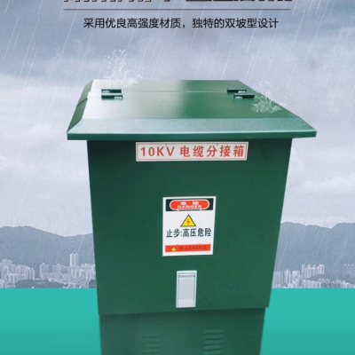10KV-35KV电缆分支箱 DFW-12/630一进一二三四出不锈钢分接柜