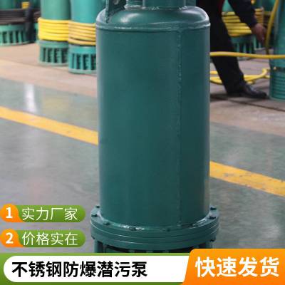 WQB300-20-30KW CT4小型排污泵 厂用防爆潜水泵 不锈钢 可定制