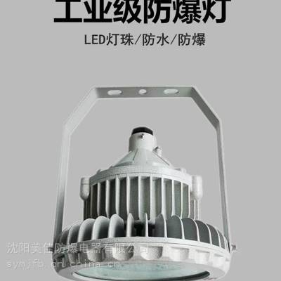 沈阳 工业防爆灯 足 功率 隧道照明灯 iic 工业炼钢车间用