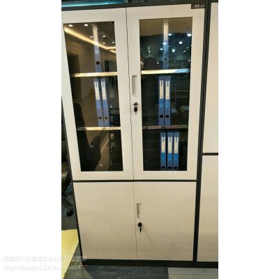 钢制档案柜 现代 办公室文件柜 铁皮档案柜 财务室铁柜 生产厂家