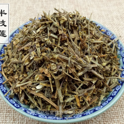 中药材半枝莲功效作用并头草狭叶韩信草牙刷草四方马兰