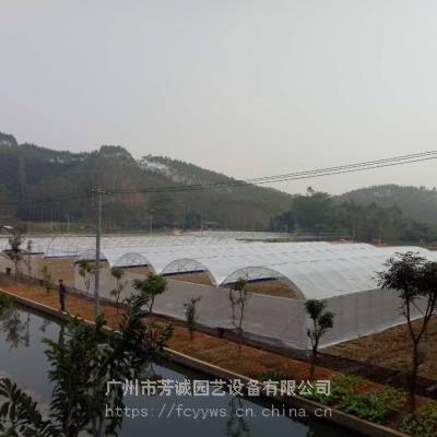 连栋蔬菜大棚建设 塑料大棚价格 福建蔬菜大棚厂家