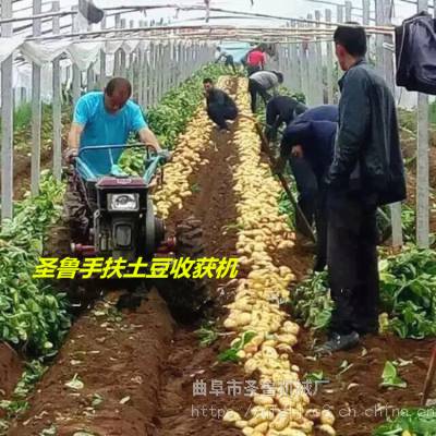 辽宁农用手扶土豆子收获机 手扶起土豆机器 圣鲁牌红薯收获机