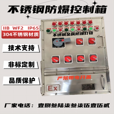 防腐防爆配电箱 不锈钢检修箱电源 插座箱 防护等级IP65