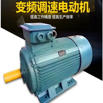 西安泰富西玛变频调速电机YVFE2-160L-6 11KW 380V 5-100Hz 厂价直销