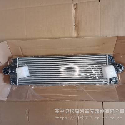  9065010201 LNTERCOOLER 