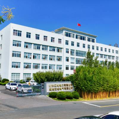 辽宁如何智能式箱式变电站性能 欢迎来电 山东双城电力供应