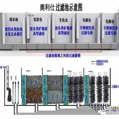 上海别墅鱼池过滤-别墅鱼池过滤怎么做-奥利仕(诚信商家)