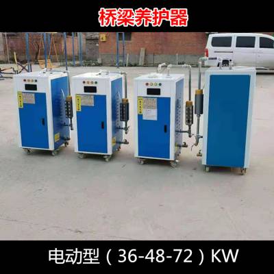 电热蒸汽发生器 北京桥梁养护器 全自动电加热蒸汽锅炉