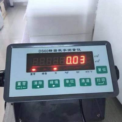 现供应一批高精度标准负荷测量仪 DS60 2025系列标准负荷仪