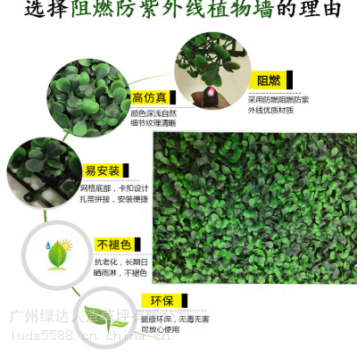 广州人造仿真植物墙室内客厅壁挂塑料绿植草皮带花尤加利背景墙