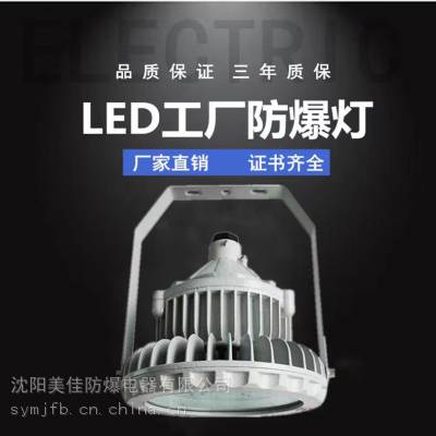 黑龙江 防爆泛光灯 投射灯 100W150W 加油站用