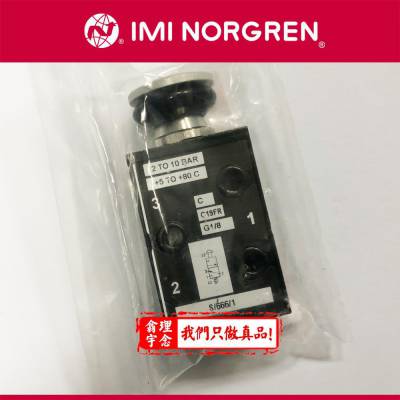 Ӣ NORGRENֶ PS/666/1/G PS/666/1/N