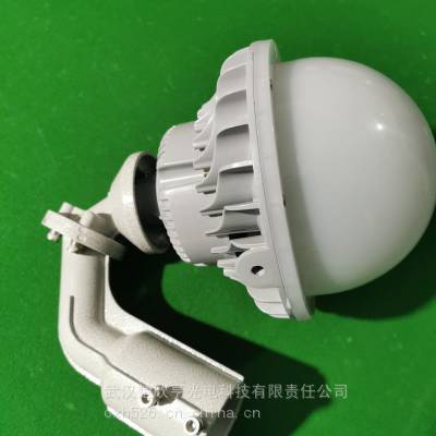 SHENBEN/森本智亮LED杆套式投光灯FGV6247-LED80W/AC220V