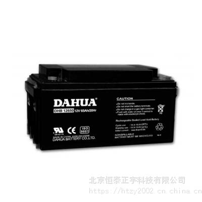 DAHUA蓄电池DHB12650大华蓄电池12V65AH/20HR UPS电源 EPS电源配套