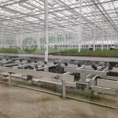 自动化物流苗床全自动物流系统大棚花卉种植潮汐灌溉苗床自动苗床