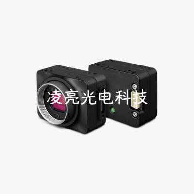 FLIR 灰点工业相机 CM3-U3-13Y3M-CS