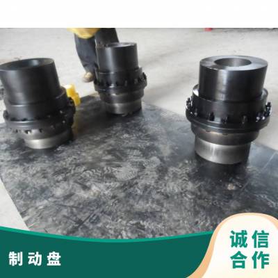 WGP13ƶ͹γʽ ˼ 125000N.m 4.4g