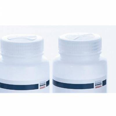 Qiagen 19051 P1Һ 500ml