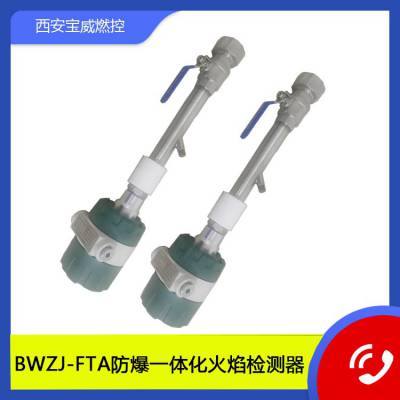 机械企业煤气、天然气燃烧装置防爆一体化火焰检测器BWZJ-FTA