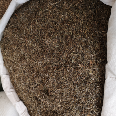 猪屎草药用用法及用量铺地锦药用有什么药效