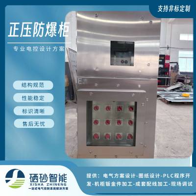 EX正压防爆柜 恶劣危险环境下的控制柜 316L不锈钢柜