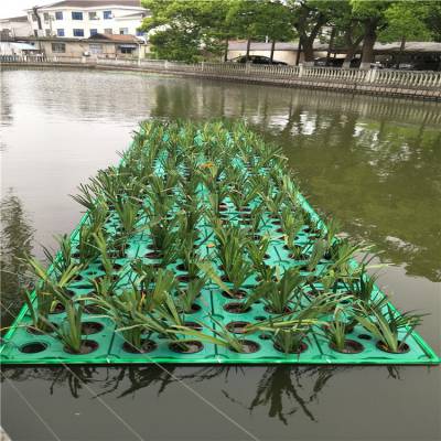 湿地水生植物种植人工水草生态浮岛