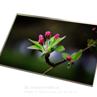 供应群创8寸FOGEE080NA-06A800*600分辨率液晶玻璃