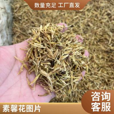 鸡爪花中药材 多花素馨大量现货批发品质***无熏硫中药材