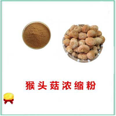 猴头菇浓缩粉 10:1萃取 溶解性好 保留营养成分 包邮发样品