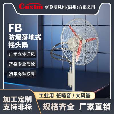 防爆落地扇 FB系列防爆摇头扇 新黎明风机 防爆档位扇 FB-600